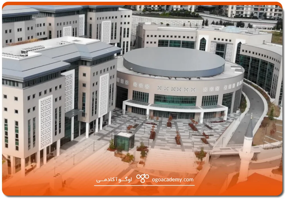 دانشگاه هالیچ