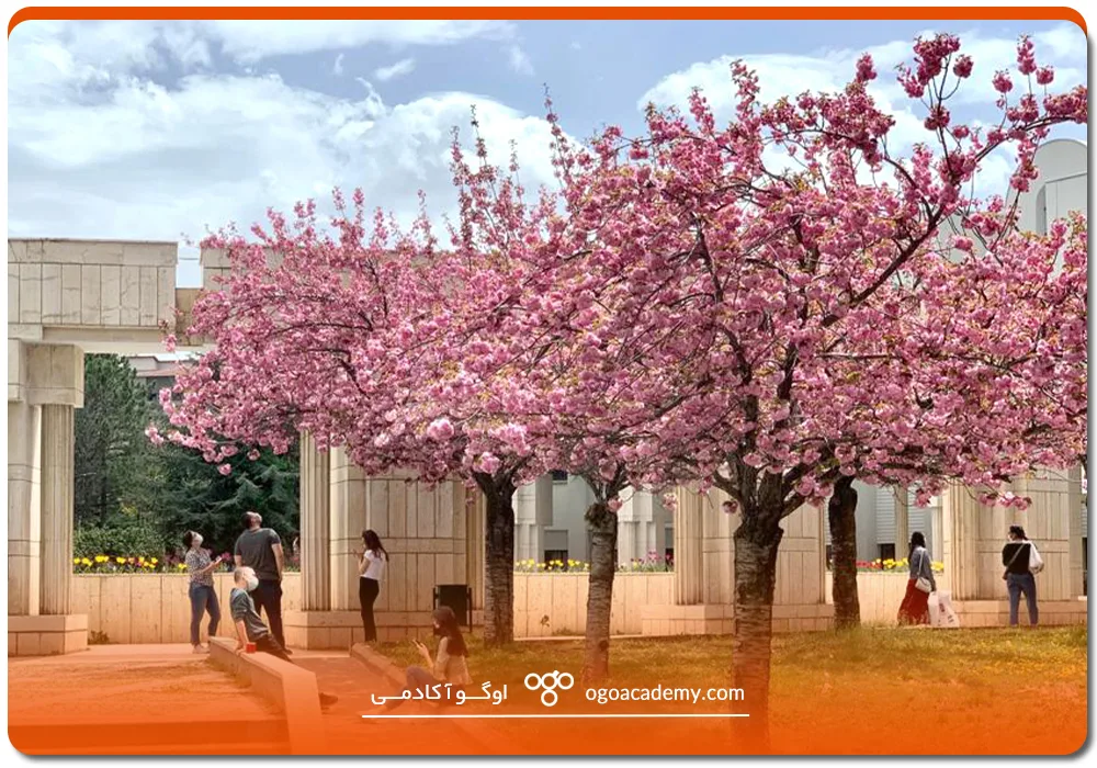 دانشگاه بیلکنت