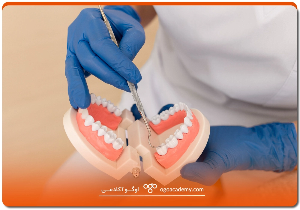 چگونه میتوان در ترکیه به عنوان دندانپزشک کار کرد؟