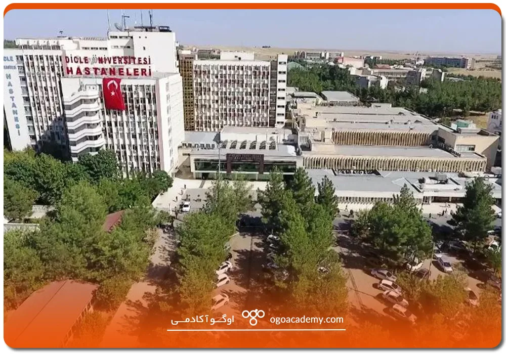 تاریخچه دانشگاه دجله