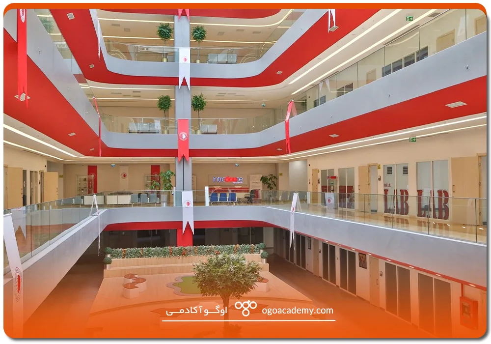 dogus university 5