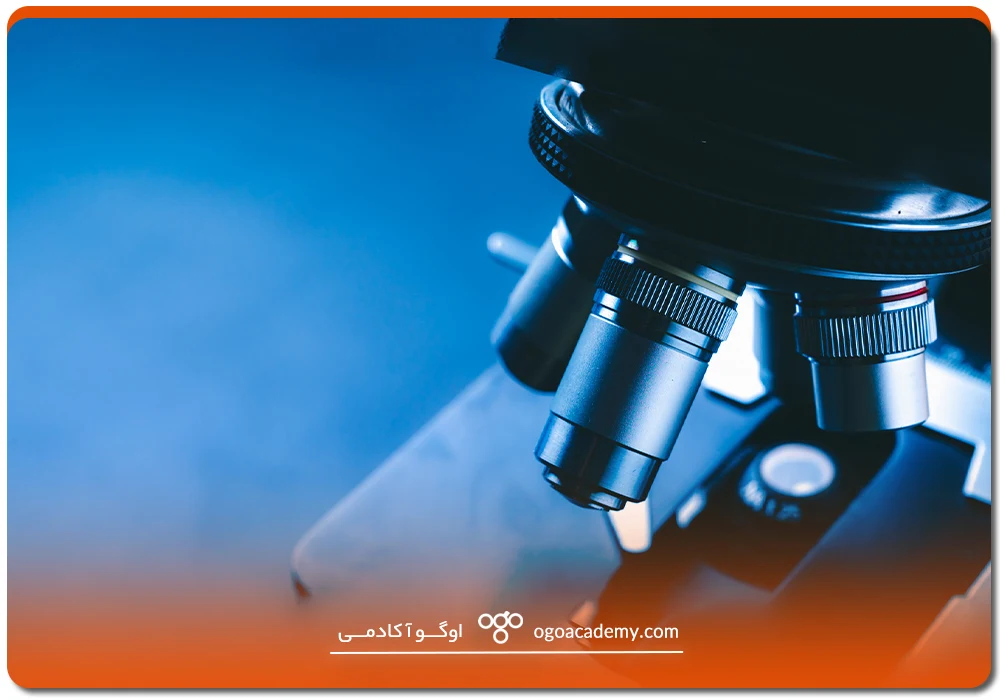 تحصیل پزشکی در ترکیه و ساختار آموزشی آن