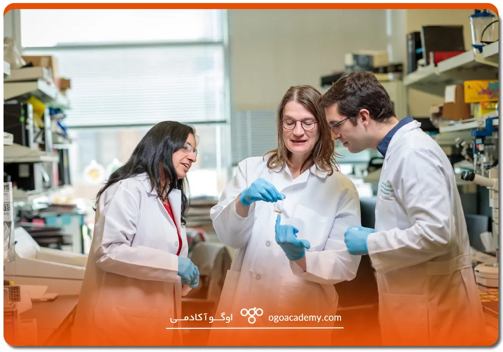 انتخاب پروژه و سوپروایزر؛ مهم‌ترین عامل موفقیت در Postdoc UK